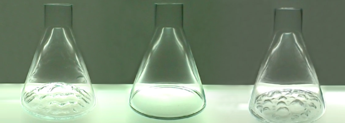 Glass vase